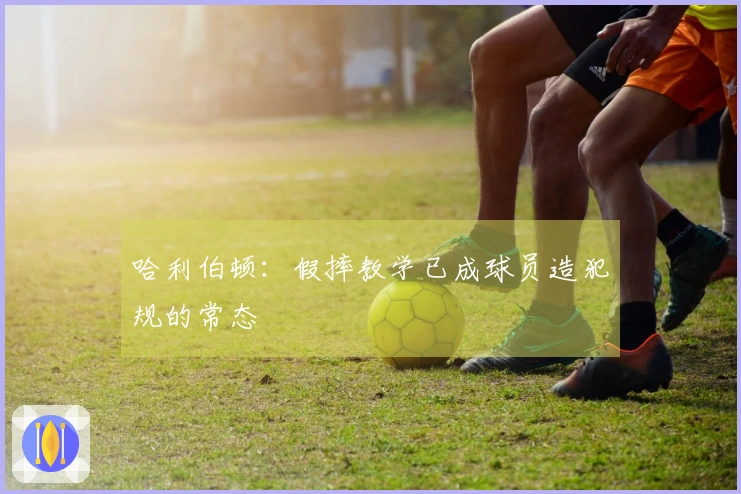 哈利伯顿：假摔教学已成球员造犯规的常态
